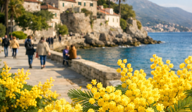 Dani mimoze, Herceg Novi: 13.02.-15.02.2026.
