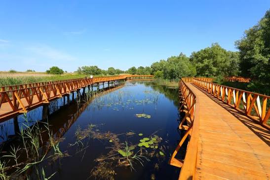 Osijek – Park prirode „KOPAČKI RIT“ & Zoološki vrt